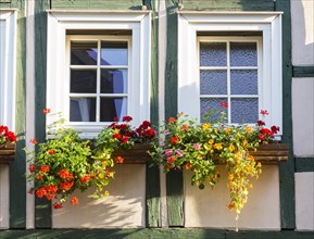 2 windows of a half-timbered house with flower boxes