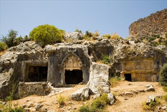 Bull's head tomb