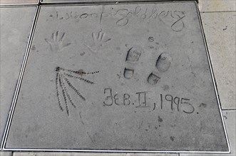 Handprints and footprints of WHOOPI GOLDBERG