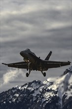 Fighter jet Swiss Air Force