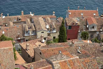 View of house roofs