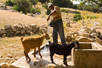 Goatherd on the Lycian Way