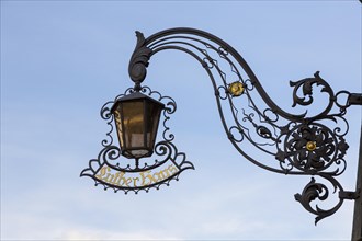Wrought-iron nose shield with decorations