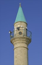 Al-Zeituna Mosque