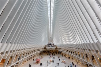 World Trade Center Station Santiago Calatrava Oculus in New York in New York
