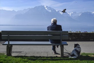 Man with dog sitting on a park bench on the lake promenade