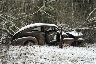 Scrap car in front of forest scenery