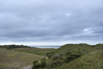 View of the North Sea behind overgrown dunes