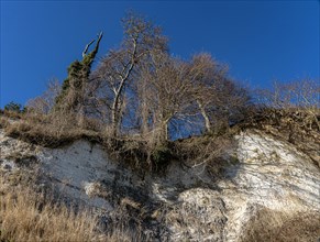 Slopes and chalk cliffs on the pebble beach of Pirate's Gorge on the island of Ruegen