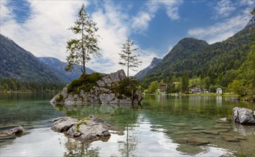 Rock with trees in Hintersee