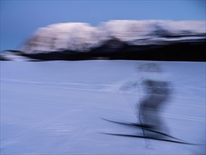 Cross-country skier in the cross-country skiing trail