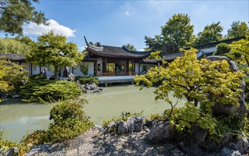 Garden with pond