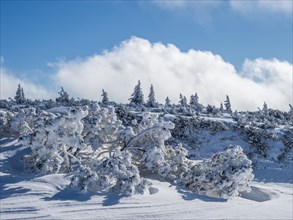 Blue sky over winter landscape