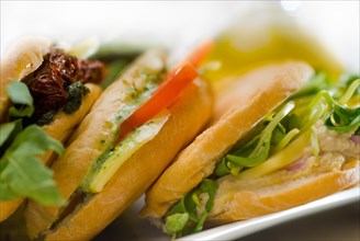 Assortment of fresh homemade vegetarian italian panini sandwich