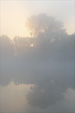 Morning fog and sunrise in the nature reserve Herbslebener Teiche