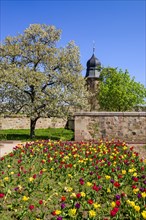 Garden in the castle courtyard in front of the tower of the Margrave's Church