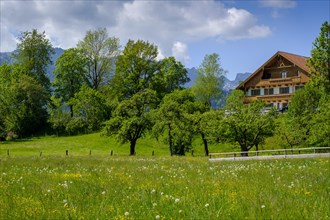 Farms near Arzbach