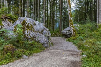 Boulders in the forest at Hintersee
