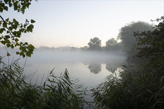 Morning fog in the Herbslebener Teiche nature reserve