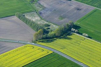 Aerial view of a field landscape near Damme