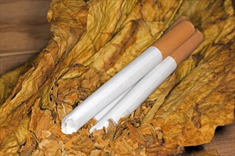 Three Stuffed Cigarettes on Tobacco Leaves