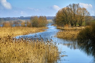 Doellnitzsee near Wermsdorf