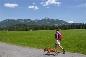Hiker with dog at the glider airfield