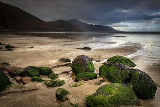 Moss-covered stones on seashore