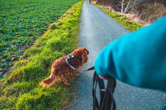 Young woman walking her dog