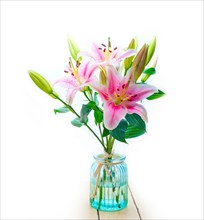 Pink lily flower bunch bouquet over white copyspace