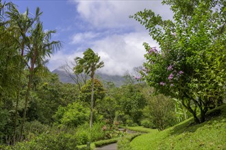 Park landscape in the HG Arenal Volcano