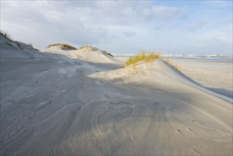 Dunes on the beach