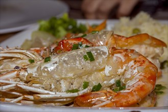 Steamed fresh giant red prawns in spicy creamy sauce
