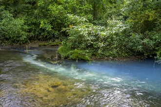 Spring with sulphur and calcium carbonate that causes the blue turquoise water of the Rio Celeste