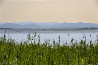 Lake Starnberg with a view of the Alps