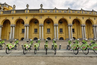Green rental bikes