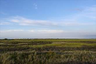View over flat dune landscape of the Kalfamer to the island of Norderney