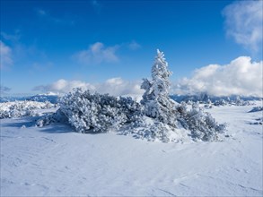 Blue sky over winter landscape