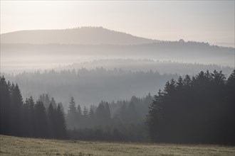 Morning mist in the Bavarian Forest