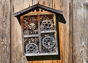 Insect hotel on wooden wall