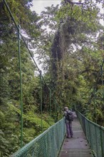 Photographer on suspension bridge in Selvatura Park
