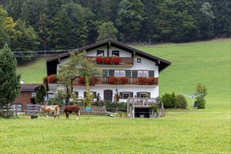 Farm with holiday flats in Berchtesgadener Land