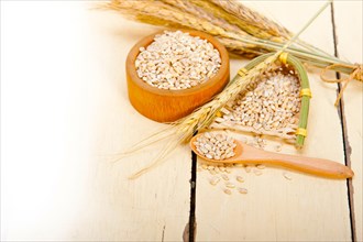 Organic wheat grains over rustic wood table macro closeup