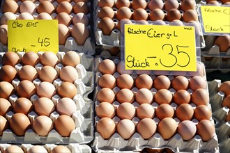 Fresh brown eggs in egg cartons with price tag at a market stall