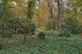 Autumn at the Wilmersdorfer Waldfriedhof in Stahnsdorf