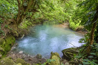 Hot spring with blue turquoise water of the Rio Celeste