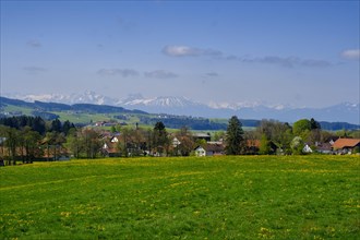 View over Frankau to the Allgaeu mountains