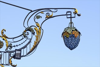 Nose shield with a vine