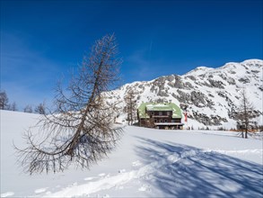 Blue sky over winter landscape