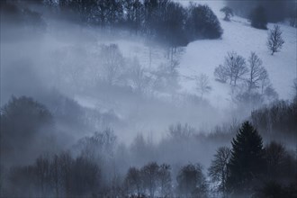 Fog lying in the forest in a valley